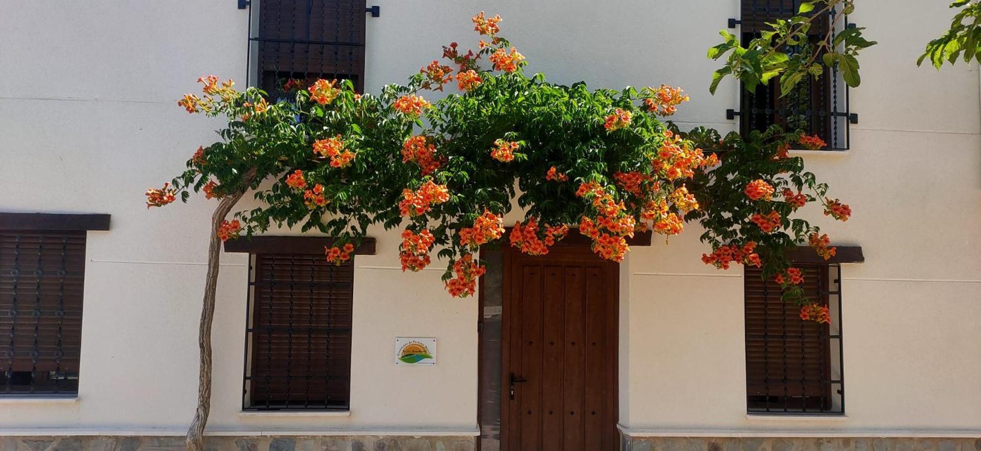 Villa El Molino De Alatoz Esterno foto